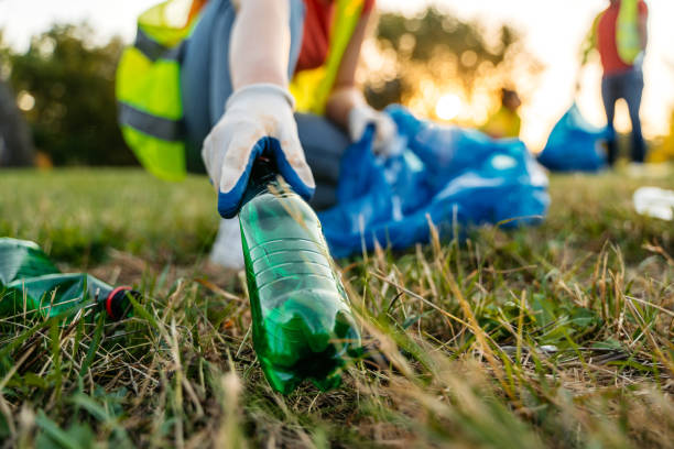Best Yard Waste Removal  in Essex, MD